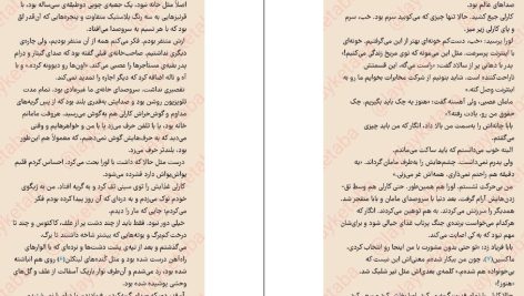 دانلود پی دی اف کتاب دختر آرزو  نیکی لافتین PDF