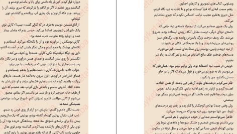 دانلود پی دی اف کتاب دختر آرزو  نیکی لافتین PDF