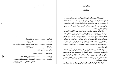 دانلود پی دی اف کتاب در تلاطم زندگی امیل زولا PDF