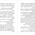 دانلود پی دی اف کتاب در تلاطم زندگی امیل زولا PDF