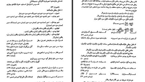 دانلود پی دی اف کتاب دستور تطبیقی زبان ترکی و فارسی حسن احمدی گیوی PDF