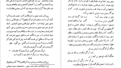 دانلود پی دی اف کتاب دیوان عمعق بخاری سعید نفیسی PDF