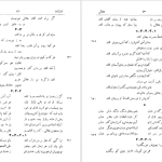 دانلود پی دی اف کتاب دیوان هلالی جغتایی سعید نفیسی PDF