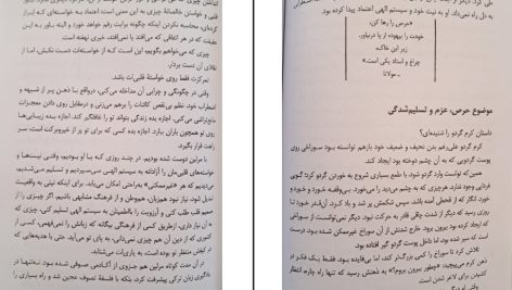 دانلود پی دی اف کتاب راه به قدم های تو روشن میشود 21 قاعده مولانا هاکان منگوچ PDF