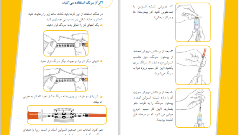 دانلود پی دی اف کتاب روش های صحیح تزریق انسولین نازلی سید خوئی ‍PDF