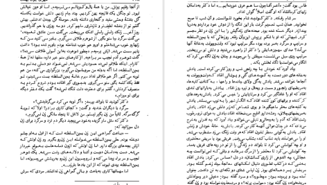 دانلود پی دی اف کتاب شهری چون بهشت سیمین دانشور PDF