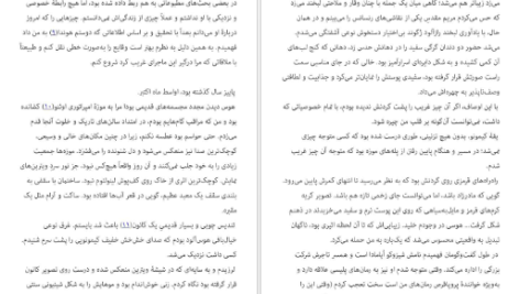 دانلود پی دی اف کتاب شکار و تاریکی ادوگاوا رانپو PDF