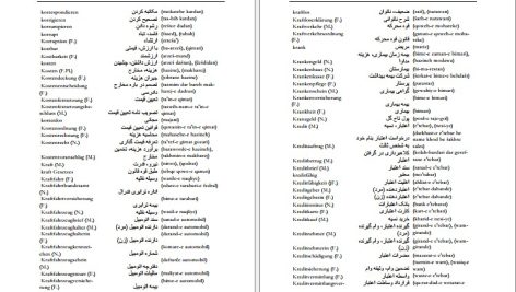 دانلود پی دی اف کتاب فرهنگ آلمانی فارسی فیروز ابراهیم نسبت PDF