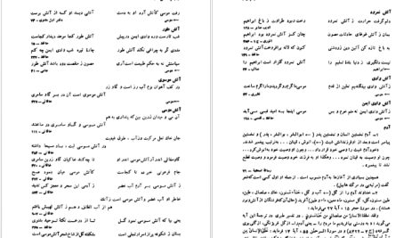 دانلود پی دی اف کتاب فرهنگ تلمیحات سیروس شمیسا PDF