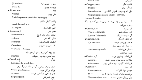 دانلود پی دی اف کتاب فرهنگ زبان کوچه محمد تقی غیاثی PDF