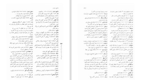 دانلود پی دی اف کتاب فرهنگ واژگان و کنایت شهر بابک زهرا حسینی موسی PDF