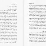 دانلود پی دی اف کتاب قیام و نهضت علویان زاگرس جلد 2 محمدعلی سلطانی PDF