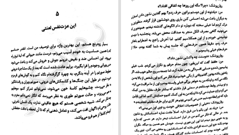 دانلود پی دی اف کتاب می خواهم بمیرم ولی دوست دارم دوکبوکی بخورم PDF