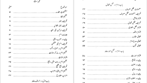 دانلود پی دی اف کتاب نحو میر میرسید شریف ابوالحسن علی بن محمد PDF