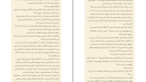 دانلود پی دی اف کتاب همکار فریدا مک فادن PDF