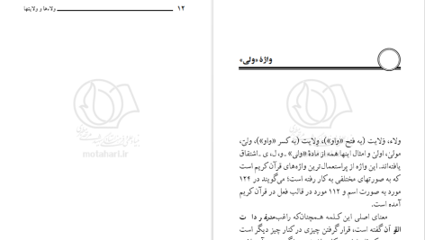 دانلود پی دی اف کتاب ولاءها و ولایت ها مرتضی مطهری PDF