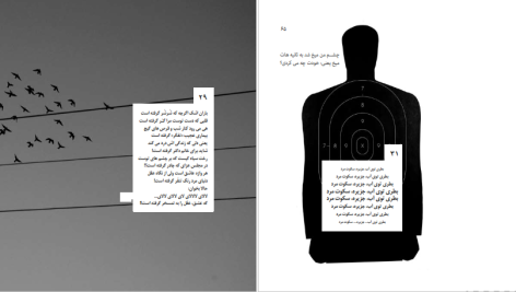 دانلود پی دی اف کتاب پرنده کوچولو، نه پرنده بود! نه کوچولو! سیدمهدی موسوی PDF