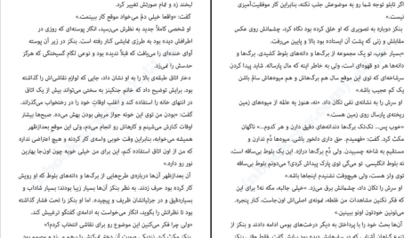 دانلود پی دی اف کتاب پرنده‌ی اسرارآمیز مارتین داویس PDF