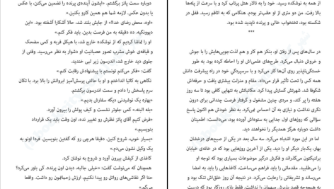 دانلود پی دی اف کتاب پرنده‌ی اسرارآمیز مارتین داویس PDF