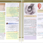 دانلود پی دی اف کتاب گایدلاین زنان 2 دنفورث PDF