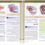 دانلود پی دی اف کتاب گایدلاین زنان 2 دنفورث PDF