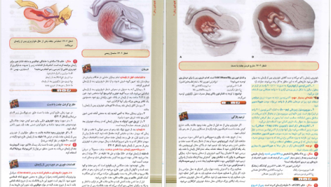 دانلود پی دی اف کتاب گایدلاین زنان 2 دنفورث PDF