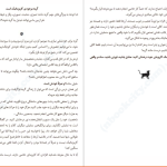 دانلود پی دی اف کتاب گربه راهنمای ما استفان گارنیه PDF