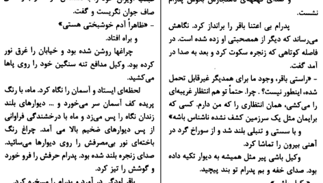 دانلود پی دی اف کتاب بیهودگی احمد محمود PDF