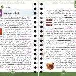 دانلود پی دی اف کتاب لقمه زیست دوازدهم مهر و ماه محمد عیسایی PDF