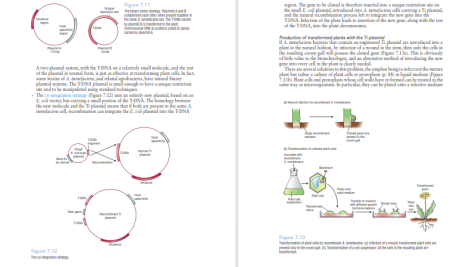 دانلود پی دی اف کتاب PDF Gene Cloning And Dna Analysis Seventh Edition