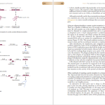 دانلود پی دی اف کتاب PDF Gene Cloning And Dna Analysis Seventh Edition