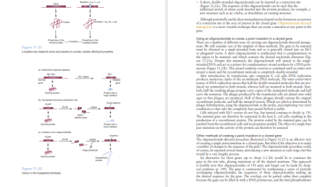 دانلود پی دی اف کتاب PDF Gene Cloning And Dna Analysis Seventh Edition