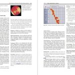 دانلود پی دی اف کتاب بیماری های گوش، حلق و بینی هانس بهربوم ‍PDF