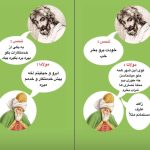 دانلود پی دی اف کتاب حکایت مولانا و شمس محمد حیدرنژاد PDF