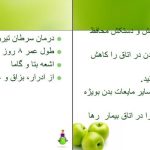 دانلود پی دی اف کتاب رادیوتراپی پرستاری انکولوژی اکبرزاده امیدهی