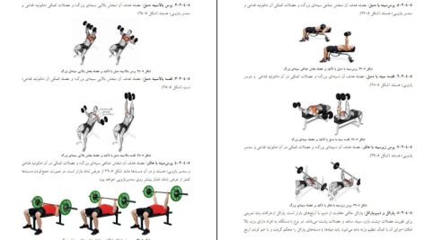 دانلود پی دی اف کتاب راهنمای جامع آمادگی جسمانی حمید قاسمی و همکاران PDF