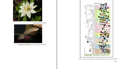 دانلود پی دی اف کتاب فیزیک و متافیزیک دکتر اسدی PDF