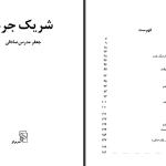 دانلود پی دی اف کتاب شریک جرم جعفر مدرس صادقی PDF