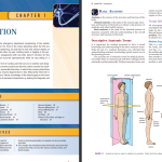 دانلود پی دی اف کتاب آناتومی بالینی ریچارد اسنل ‍PDF