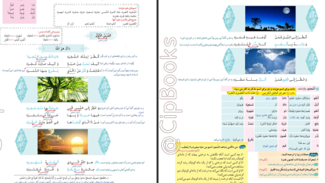 دانلود پی دی اف کتاب زیر ذره بین عربی، زبان قرآن (1) الهه مسیح خواه PDF