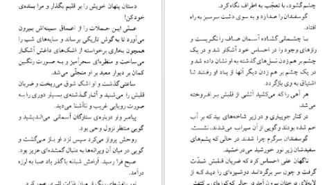 دانلود پی دی اف کتاب عروسان دشت جبران خلیل جبران PDF