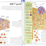 دانلود پی دی اف کتاب فرهنگ نامه نجوم و فضا پوریا ناظمی PDF