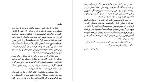 دانلود پی دی اف کتاب فرزانه ای که با نهج البلاغه زیست جمعی از نویسندگان PDF