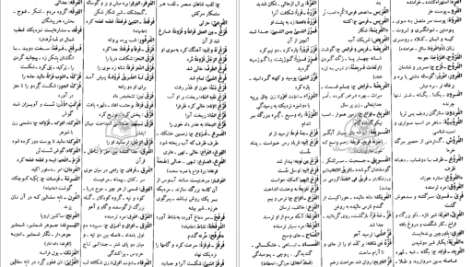 دانلود پی دی اف کتاب فرهنگ دانشگاهی المنجد الابجدی PDF