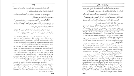 دانلود پی دی اف کتاب کمدی الهی جلد سوم دانته آلیگیری PDF