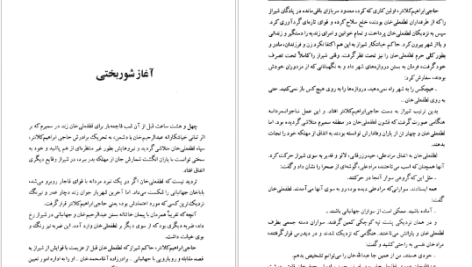 دانلود پی دی اف کتاب لطفعلی خان زند (شکوفه خونین شیراز) داریوش آریا PDF