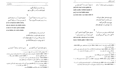 دانلود پی دی اف کتاب باباطاهر نامه پرویز اذکایی PDF