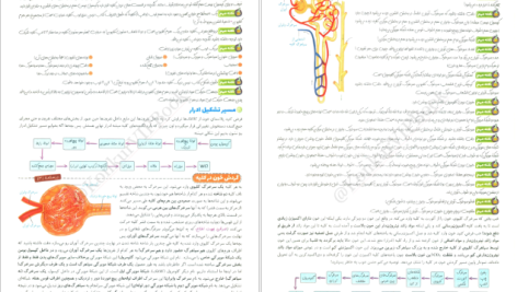 دانلود پی دی اف کتاب فاگوزیست دهم فردین جوادی PDF