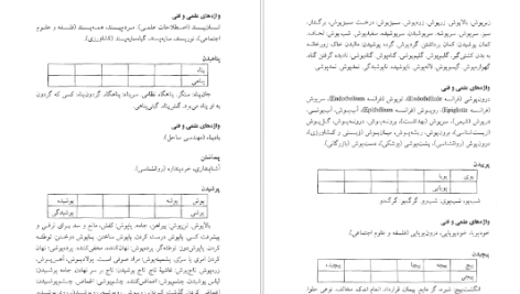 دانلود پی دی اف کتاب فرهنگ واژه سازی در زبان فارسی جلد 3 کامیاب خلیلی PDF