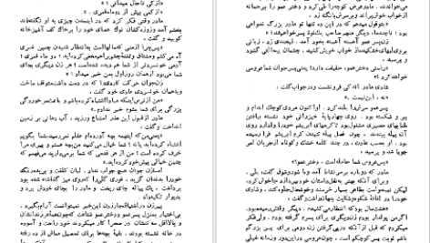 دانلود پی دی اف کتاب مادر پرل باک PDF